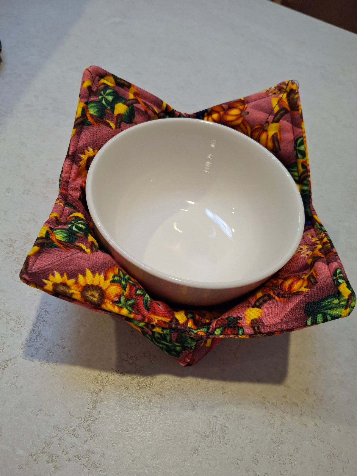 Fall harvest bowl cosy