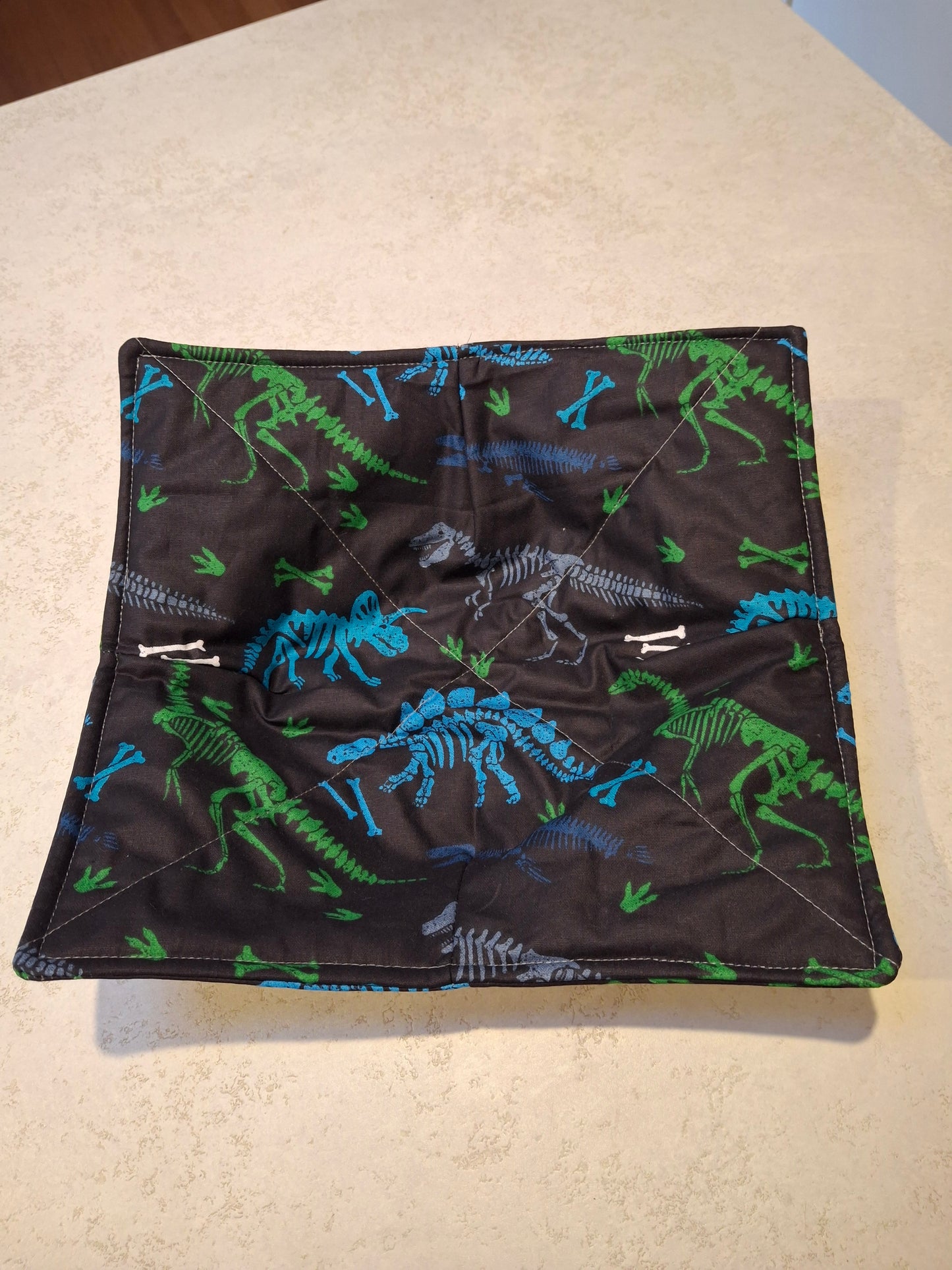Dinosaur plate cosy